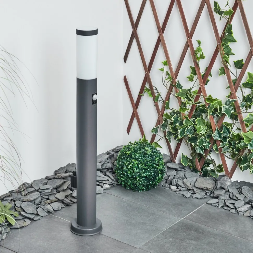 Borne Lumineuse Sessa Anthracite, 1 Lumiere, Detecteur De Mouvement