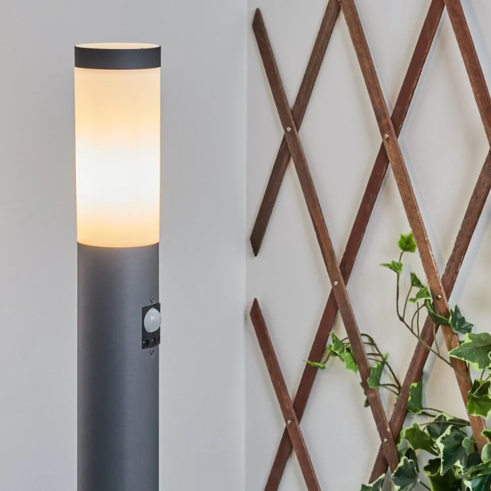 Borne Lumineuse Sessa Anthracite, 1 Lumiere, Detecteur De Mouvement