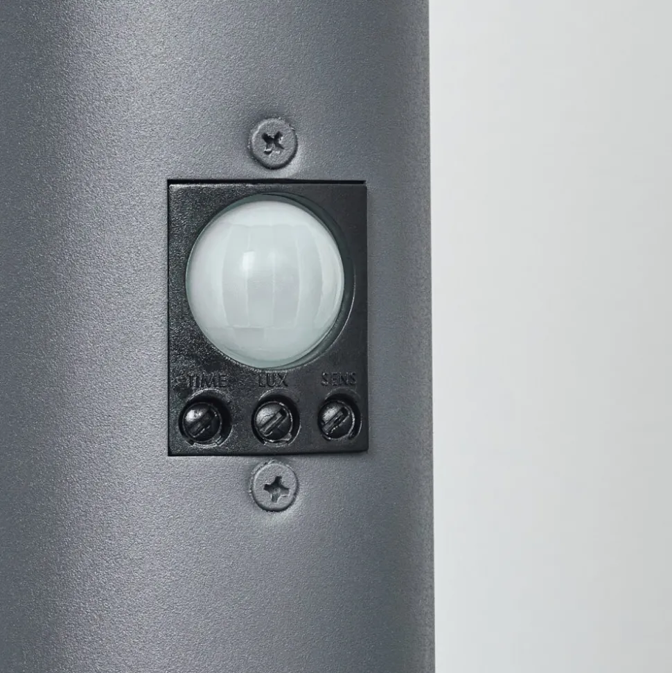 Borne Lumineuse Sessa Anthracite, 1 Lumiere, Detecteur De Mouvement