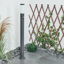 Borne Lumineuse Sessa Anthracite, 1 Lumiere, Detecteur De Mouvement