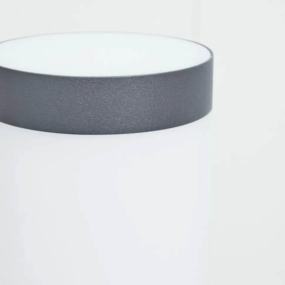 Borne Lumineuse Sessa Anthracite, 1 Lumiere, Detecteur De Mouvement