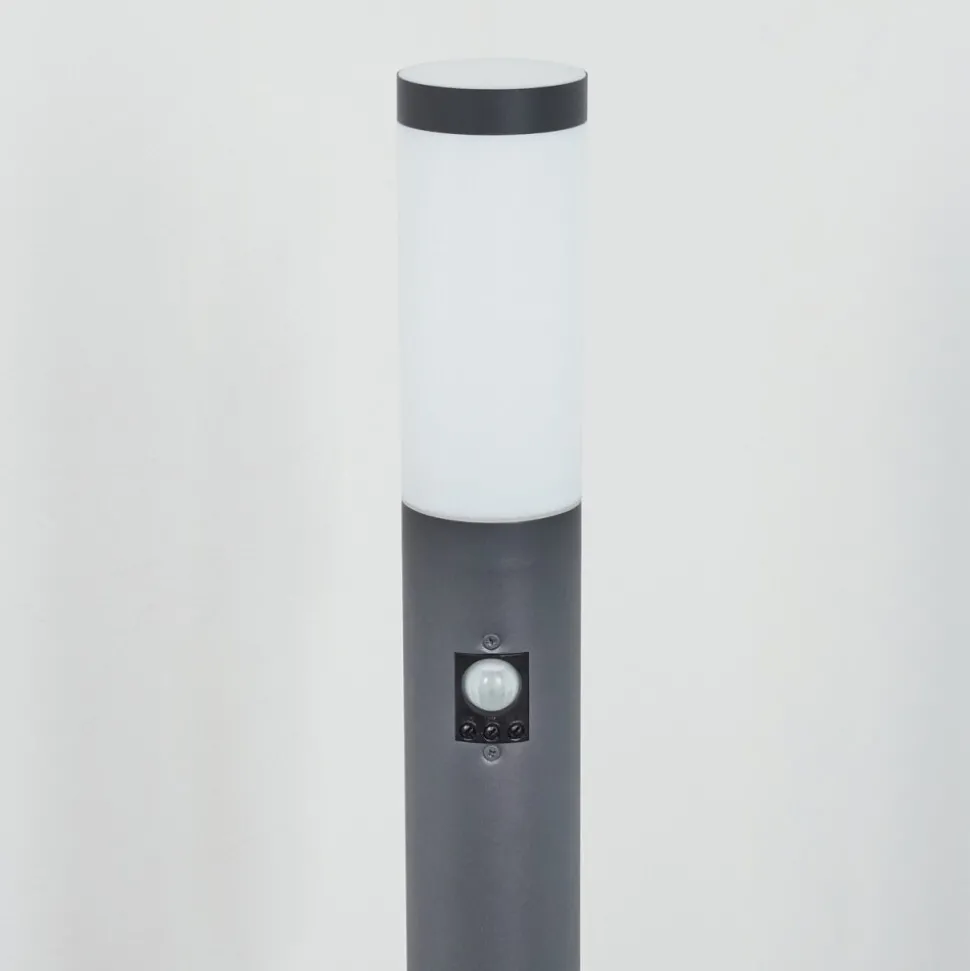 Borne Lumineuse Sessa Anthracite, 1 Lumiere, Detecteur De Mouvement