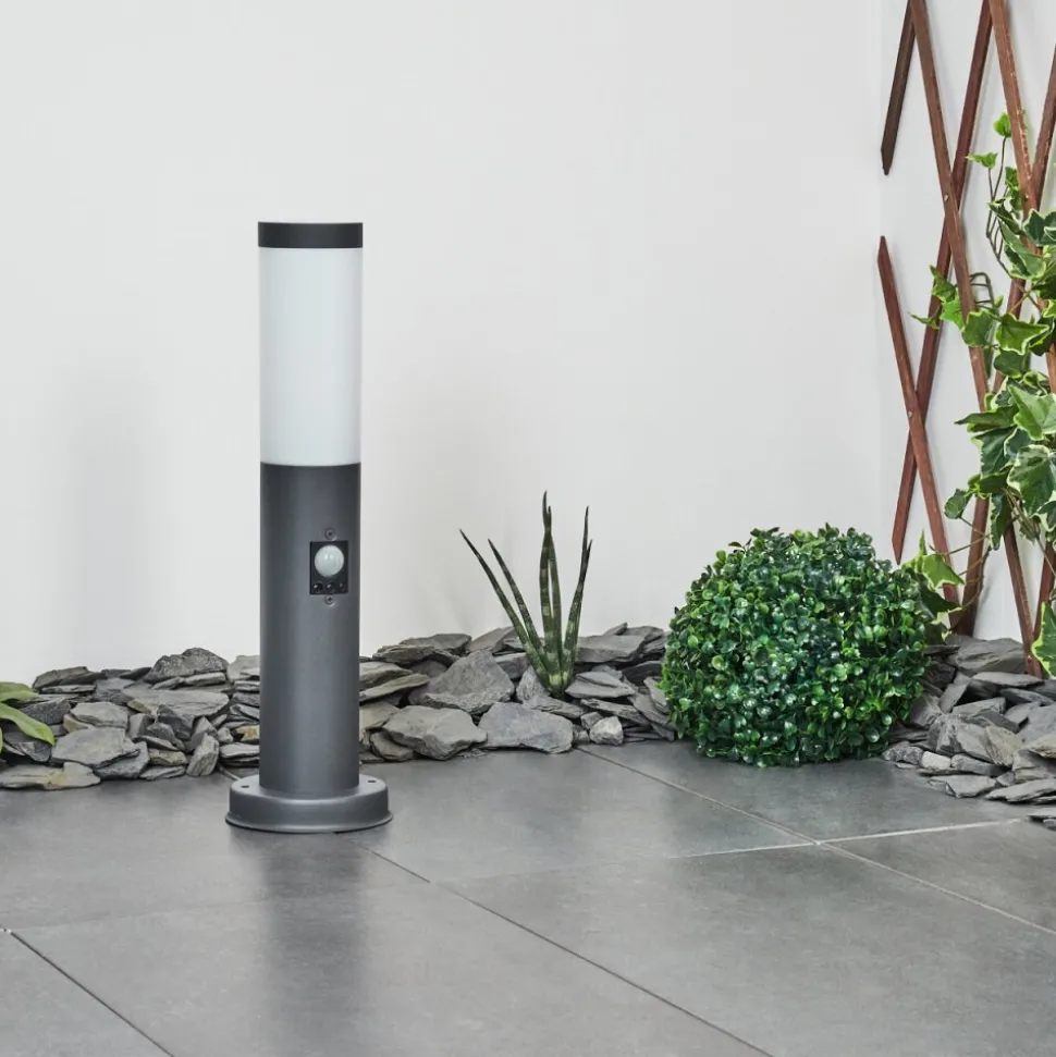 Borne Lumineuse Sessa Anthracite, 1 Lumiere, Detecteur De Mouvement