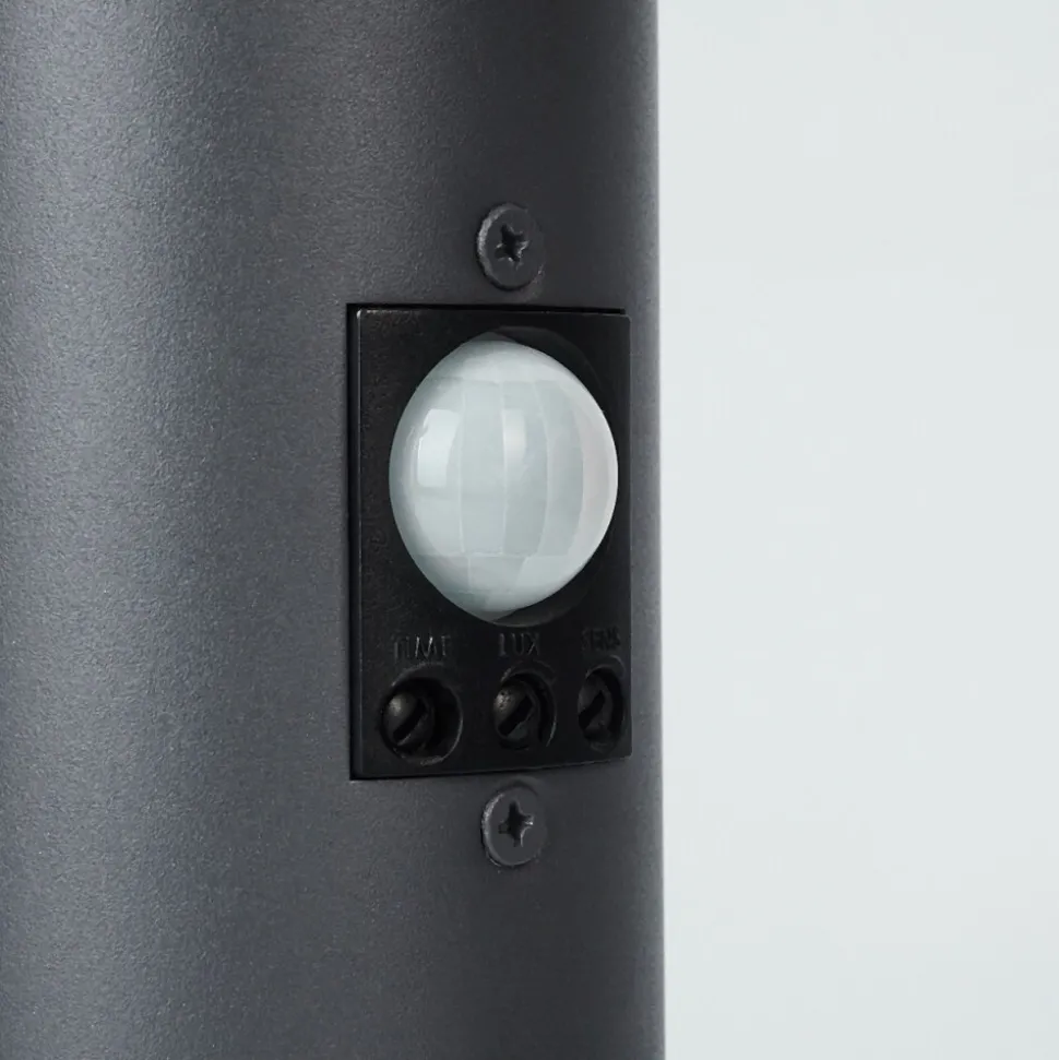 Borne Lumineuse Sessa Anthracite, 1 Lumiere, Detecteur De Mouvement