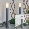 Borne Lumineuse Sessa Anthracite, 1 Lumiere
