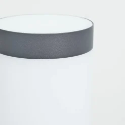 Borne Lumineuse Sessa Anthracite, 1 Lumiere, Detecteur De Mouvement