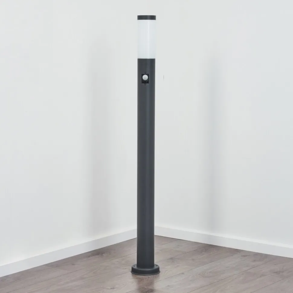 Borne Lumineuse Sessa Anthracite, 1 Lumiere, Detecteur De Mouvement