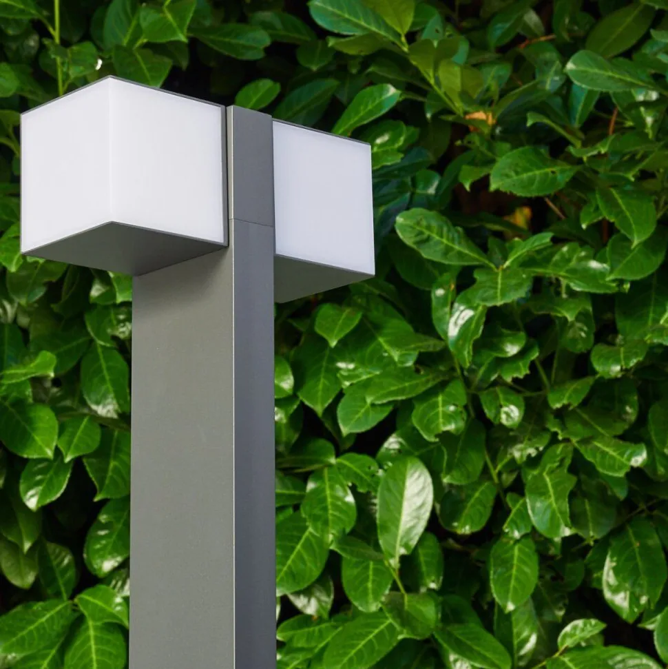 Borne Lumineuse Swanek Led Anthracite, 1 Lumiere