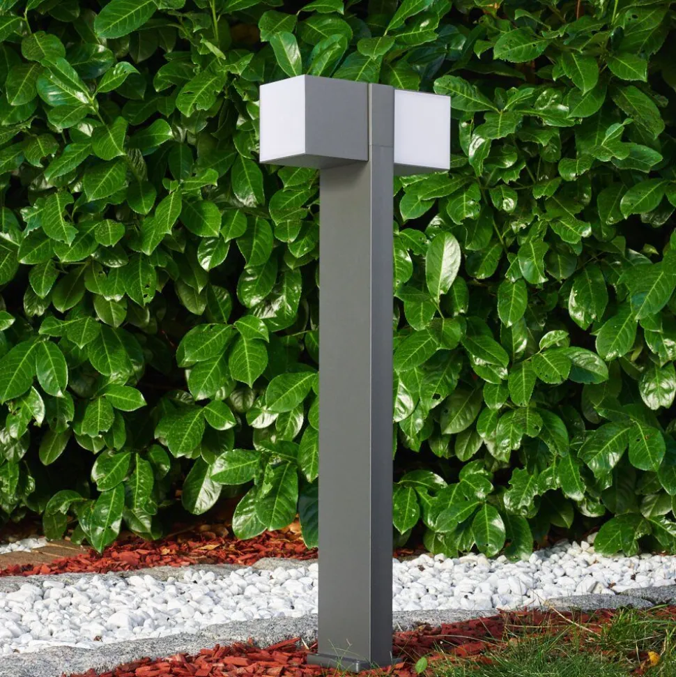 Borne Lumineuse Swanek Led Anthracite, 1 Lumiere