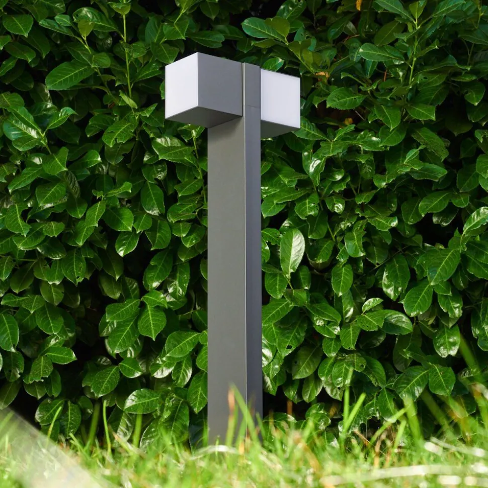 Borne Lumineuse Swanek Led Anthracite, 1 Lumiere