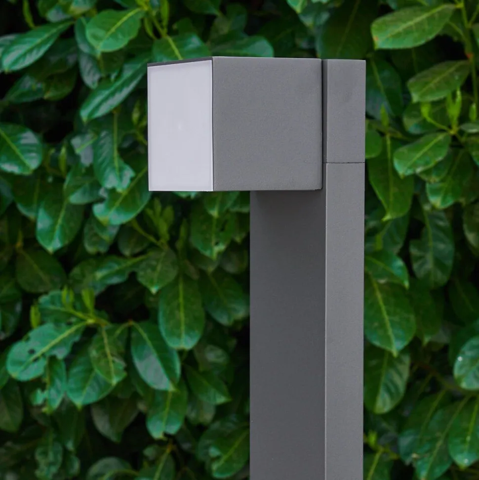 Borne Lumineuse Swanek Led Anthracite, 1 Lumiere