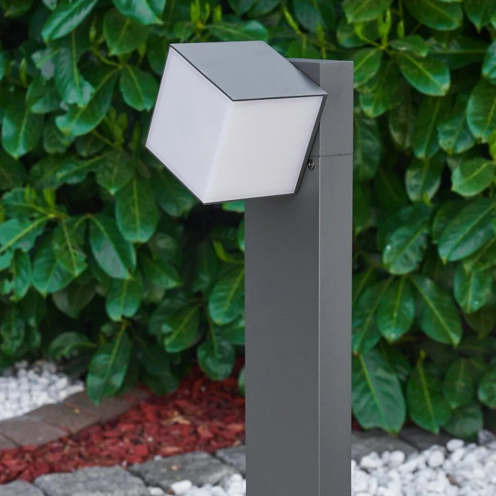 Borne Lumineuse Swanek Led Anthracite, 1 Lumiere