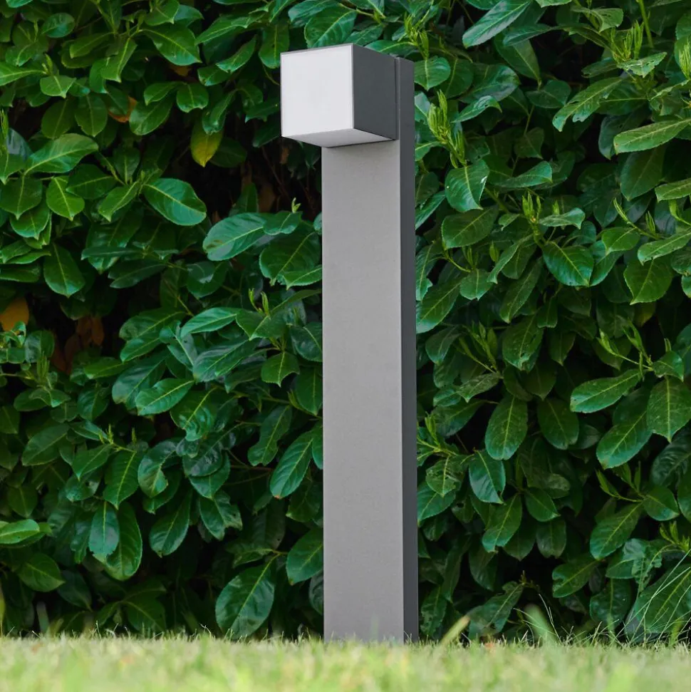 Borne Lumineuse Swanek Led Anthracite, 1 Lumiere