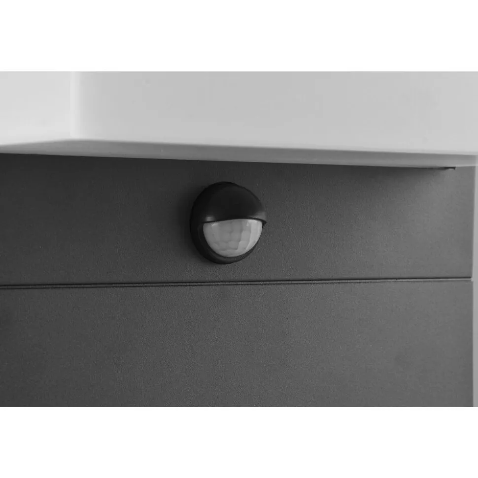 Borne Lumineuse Trio Nestos Led Anthracite, 1 Lumiere, Detecteur De Mouvement
