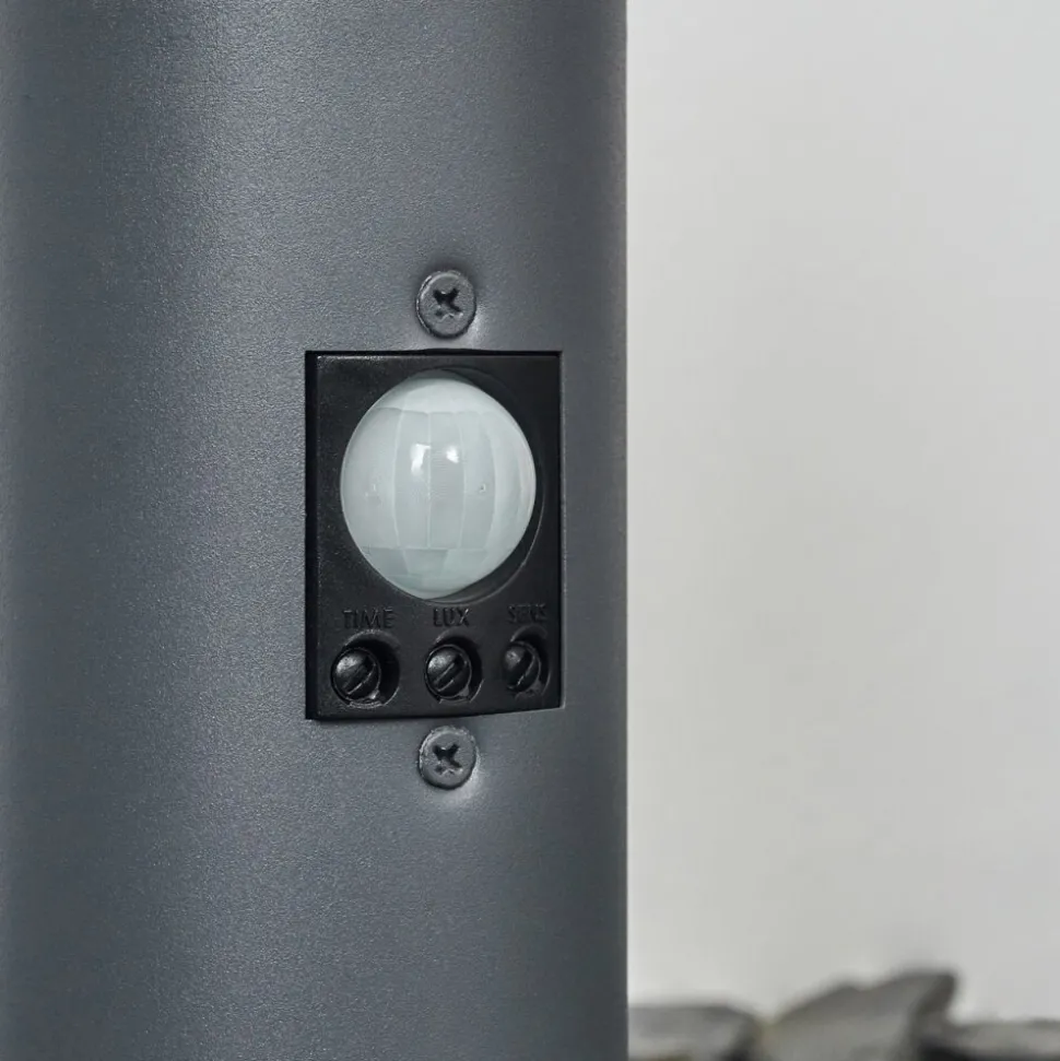 Borne Lumineuse Tunes Anthracite, 1 Lumiere, Detecteur De Mouvement