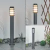 Borne Lumineuse Tunes Nickel Mat, 1 Lumiere