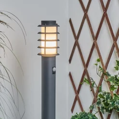 Borne Lumineuse Tunes Nickel Mat, 1 Lumiere, Detecteur De Mouvement