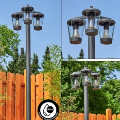 Borne Lumineuseeloida Anthracite, 3 Lumieres