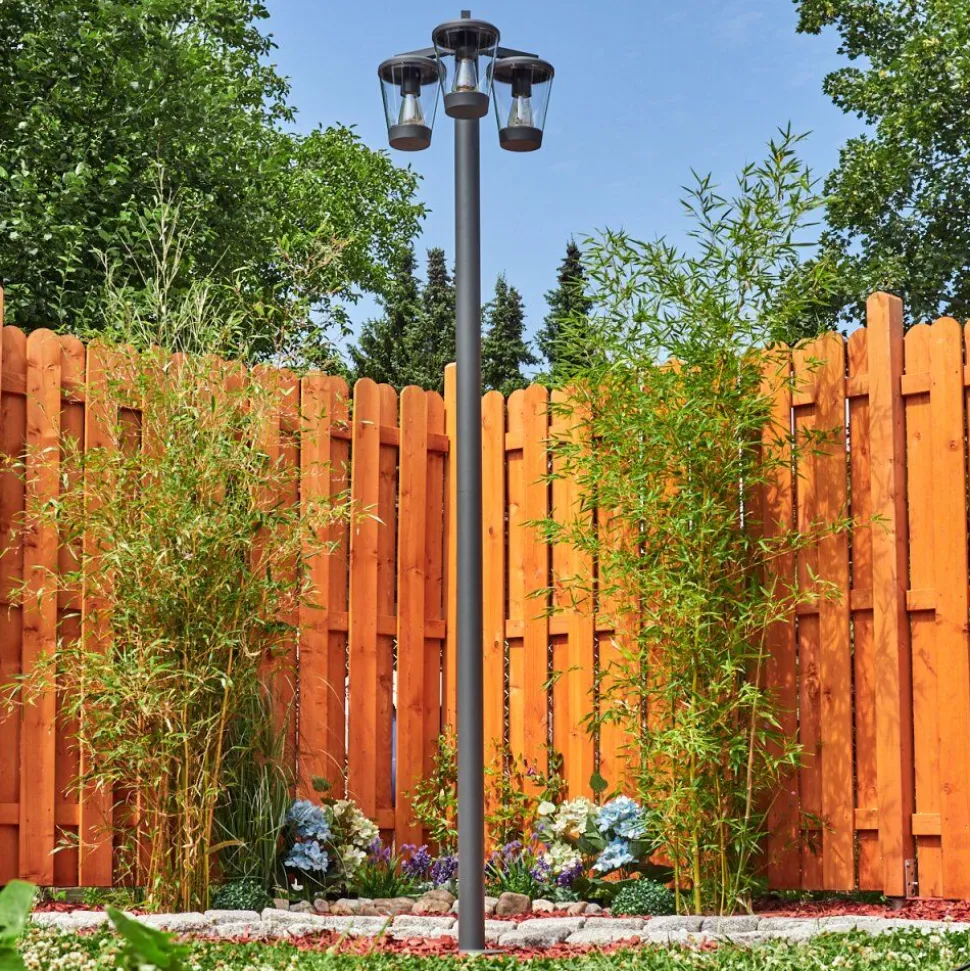 Borne Lumineuseeloida Anthracite, 3 Lumieres