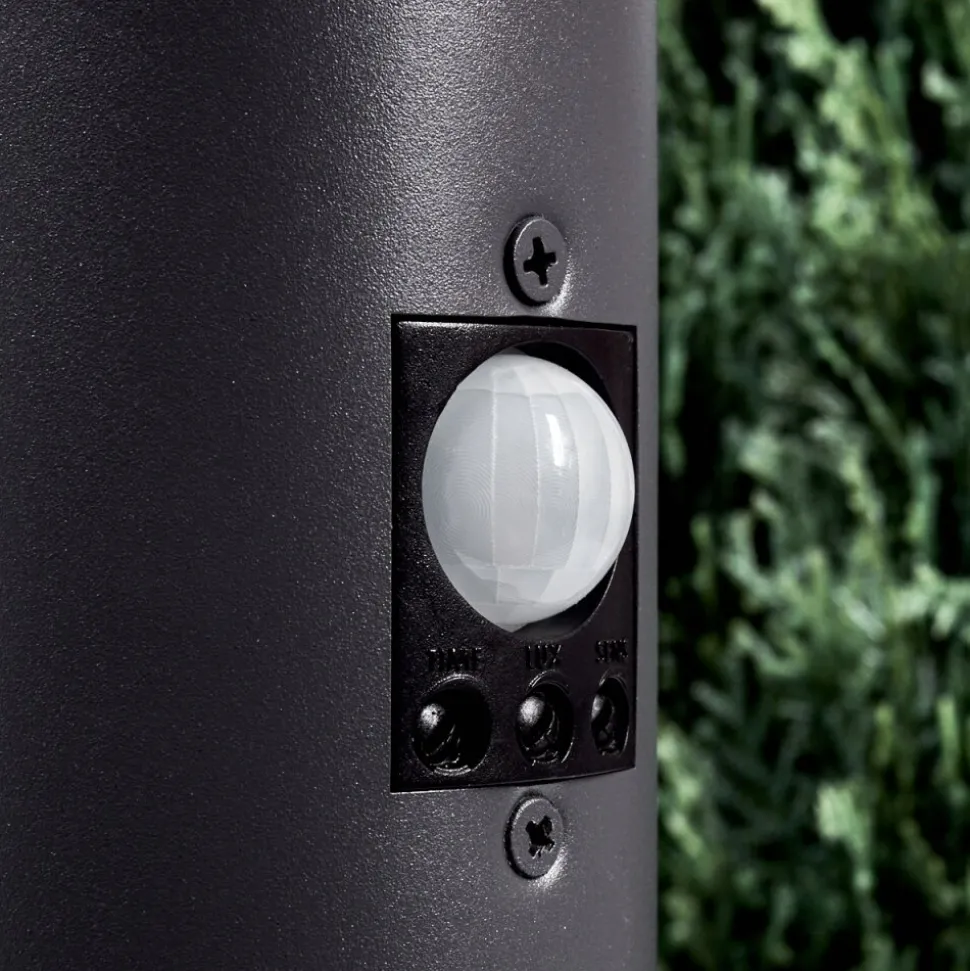 Borne Lumineusegaborone Anthracite, 1 Lumiere, Detecteur De Mouvement