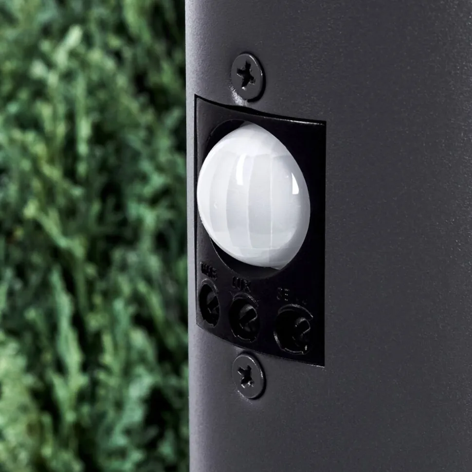 Borne Lumineusegaborone Anthracite, 1 Lumiere, Detecteur De Mouvement