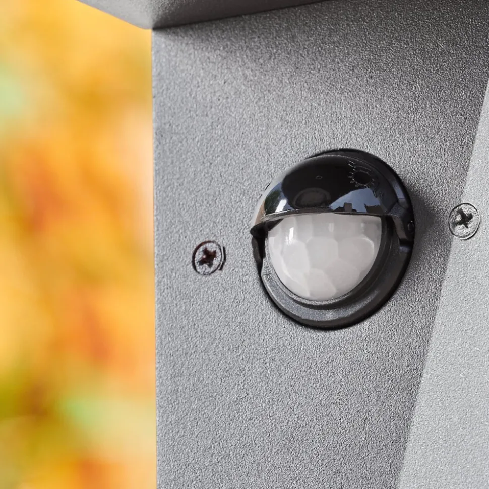 Borne Lumineusekingstown Anthracite, 1 Lumiere, Detecteur De Mouvement