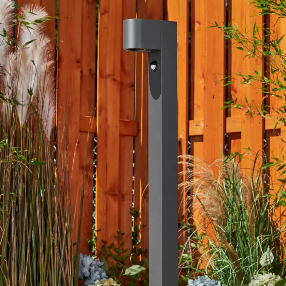 Borne Lumineusekingstown Anthracite, 1 Lumiere, Detecteur De Mouvement
