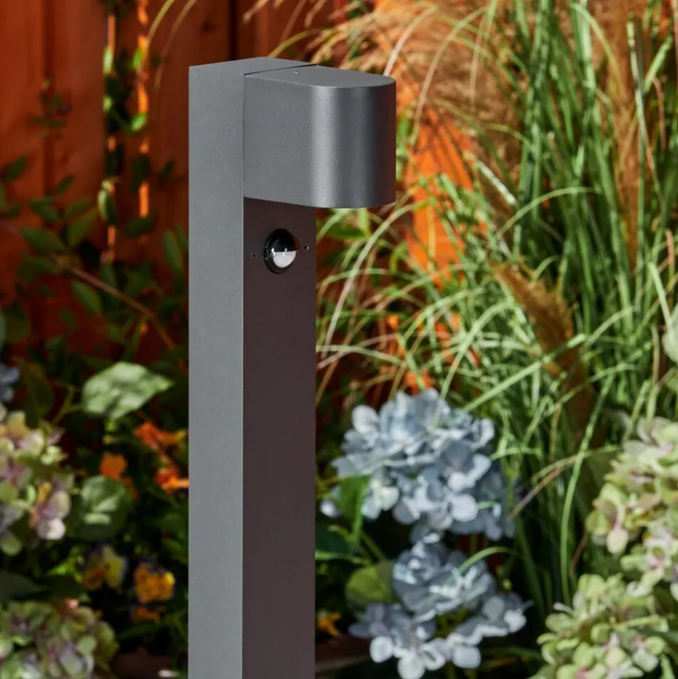Borne Lumineusekingstown Anthracite, 1 Lumiere, Detecteur De Mouvement