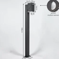 Borne Lumineusetoogong Led Anthracite, 1 Lumiere, Detecteur De Mouvement