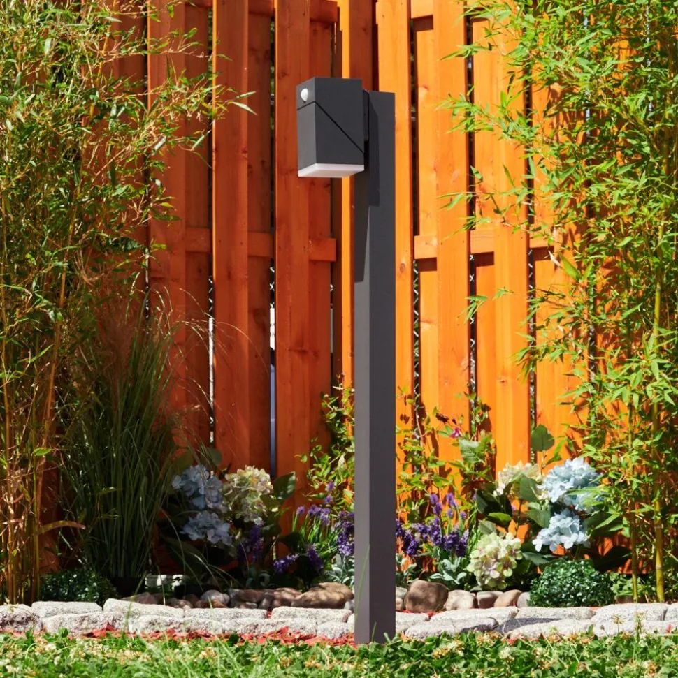 Borne Lumineusetoogong Led Anthracite, 1 Lumiere, Detecteur De Mouvement