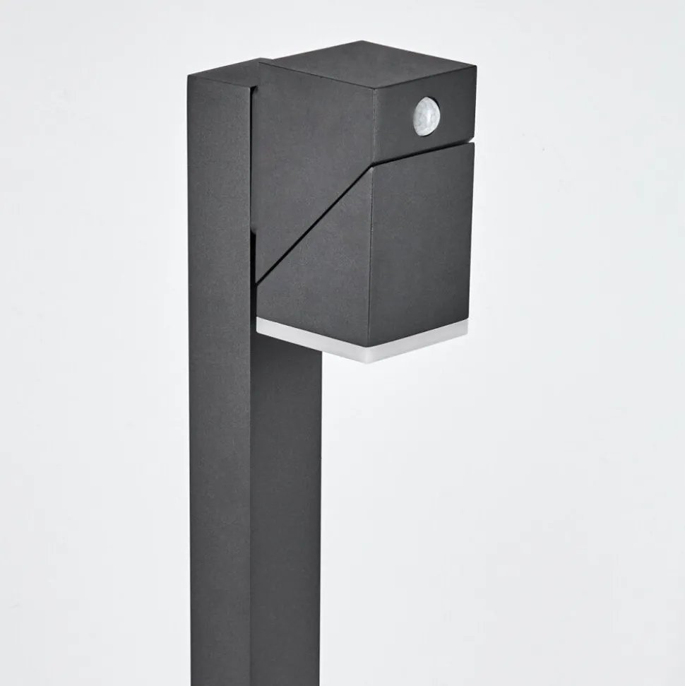 Borne Lumineusetoogong Led Anthracite, 1 Lumiere, Detecteur De Mouvement