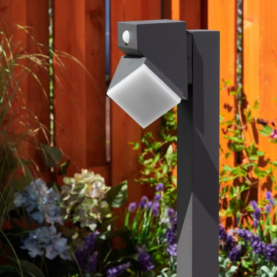 Borne Lumineusetoogong Led Anthracite, 1 Lumiere, Detecteur De Mouvement