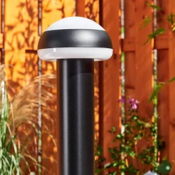 Borne Lumineusevinara Led Noir, 1 Lumiere