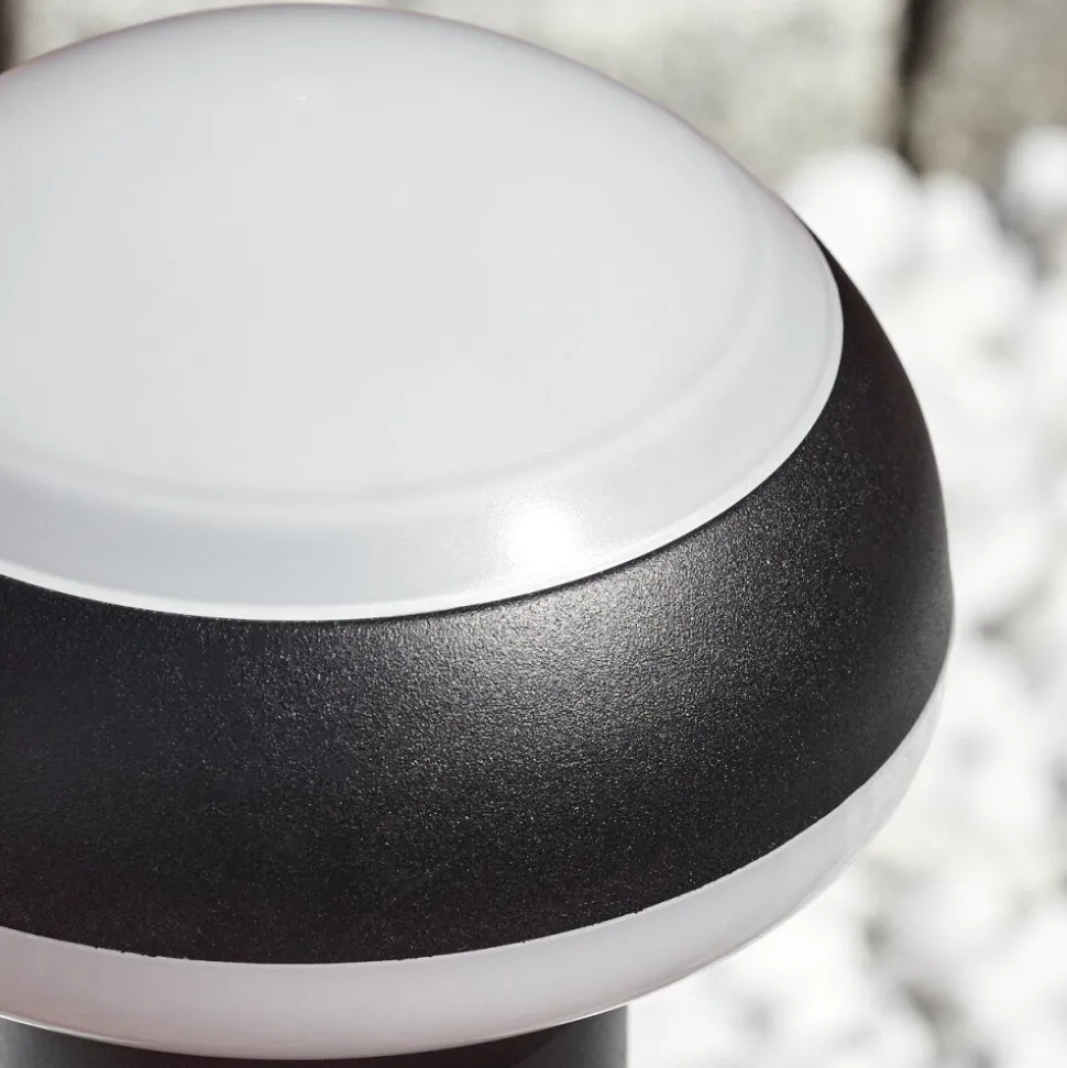 Borne Lumineusevinara Led Noir, 1 Lumiere