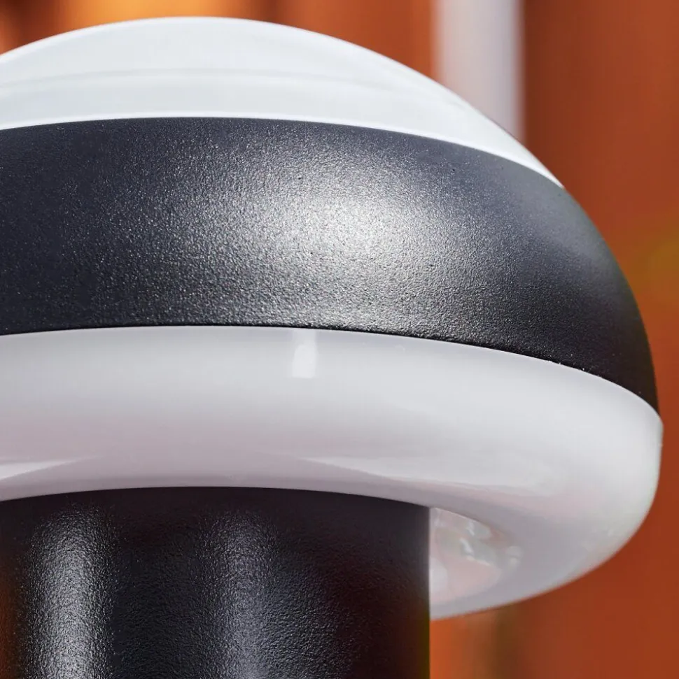 Borne Lumineusevinara Led Noir, 1 Lumiere
