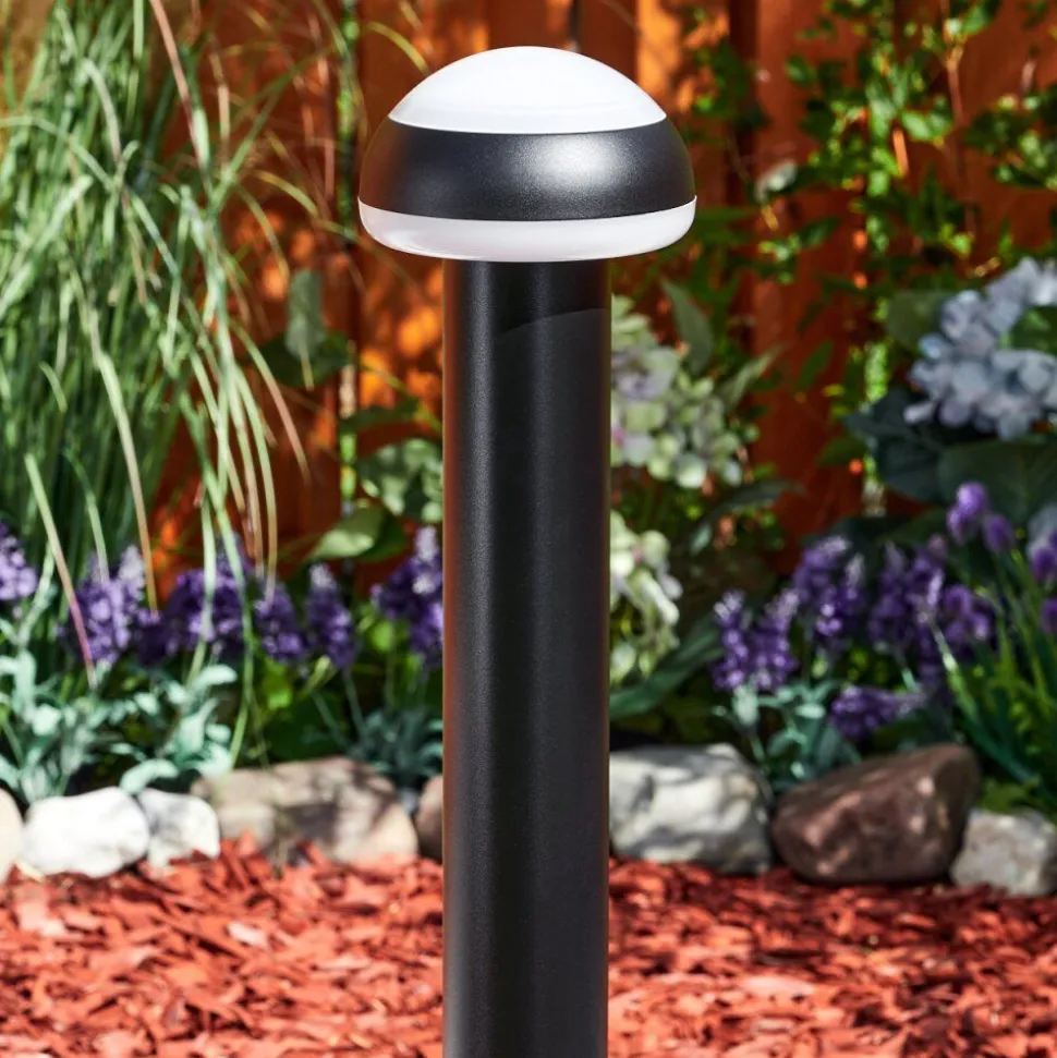 Borne Lumineusevinara Led Noir, 1 Lumiere