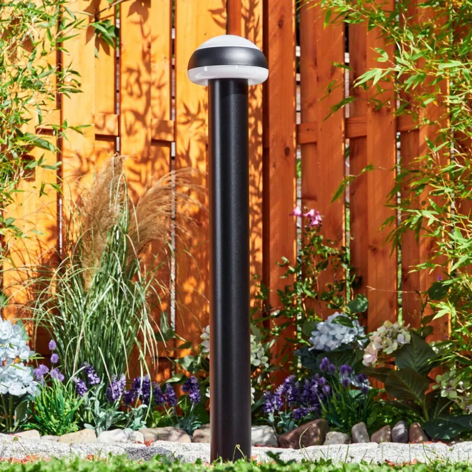 Borne Lumineusevinara Led Noir, 1 Lumiere