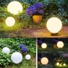 Boule Lumineuse Campinas Led Noir, Blanc, 1 Lumiere