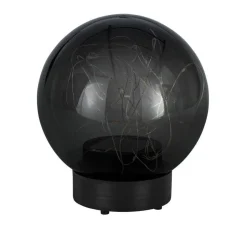Boule Lumineuse Eglo Z_Solar Led Noir, 20 Lumieres