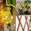 Guirlande Lumineuse Solaire Trygsland Led Brun, 50 Lumieres