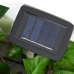 Guirlande Pozzuoli Led Noir, Blanc, 10 Lumieres