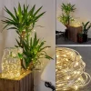Guirlande Solaire Pistoia Led Blanc, 120 Lumieres