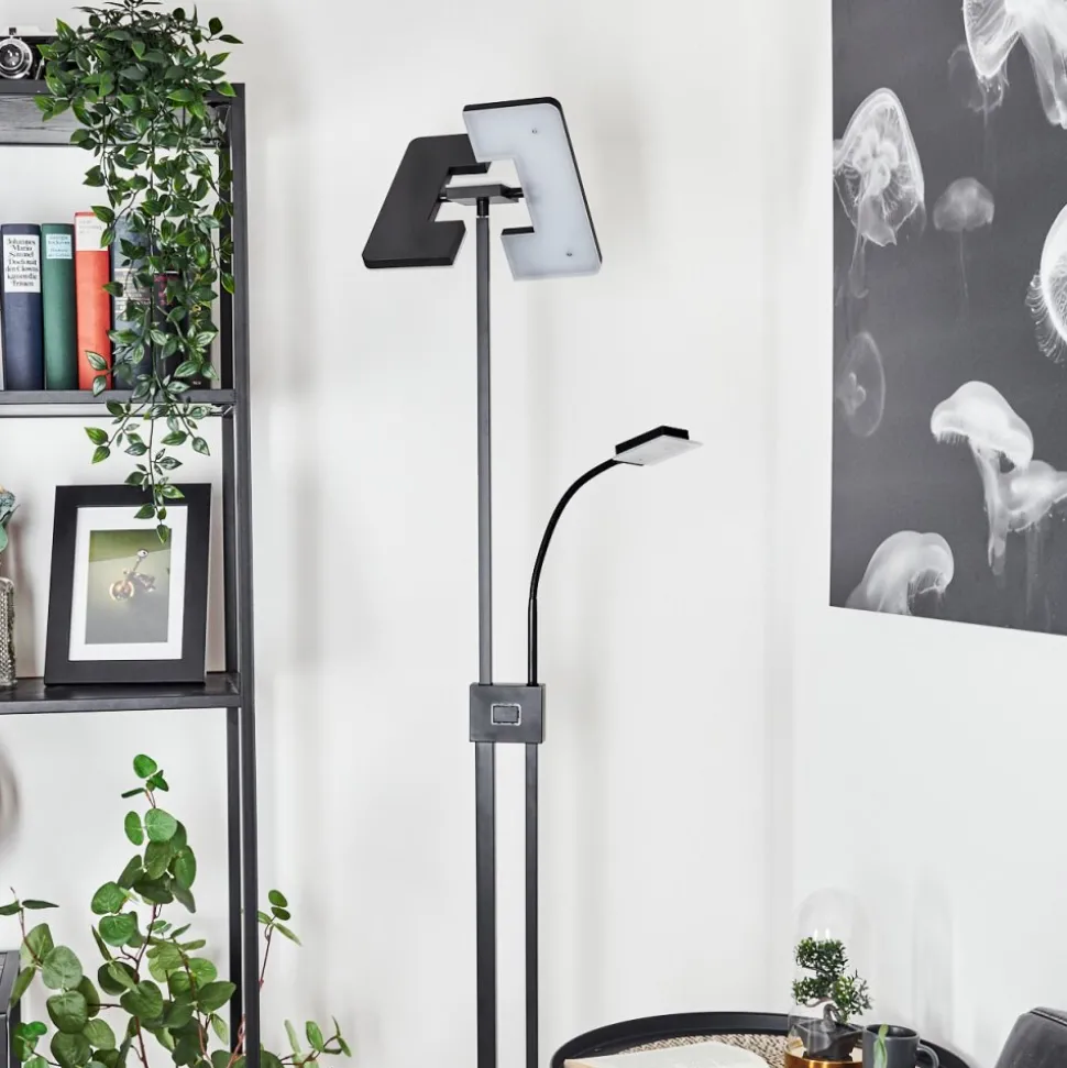 Lampadaire A Vasquejanze Led Noir, 2 Lumieres