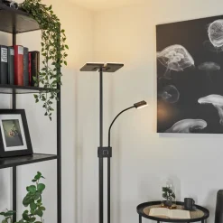 Lampadaire A Vasquejanze Led Noir, 2 Lumieres