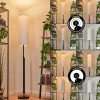 Lampadaire Coquimbito Led Noir, 1 Lumiere