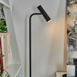 Lampadaire Dalheim Led Noir, 1 Lumiere
