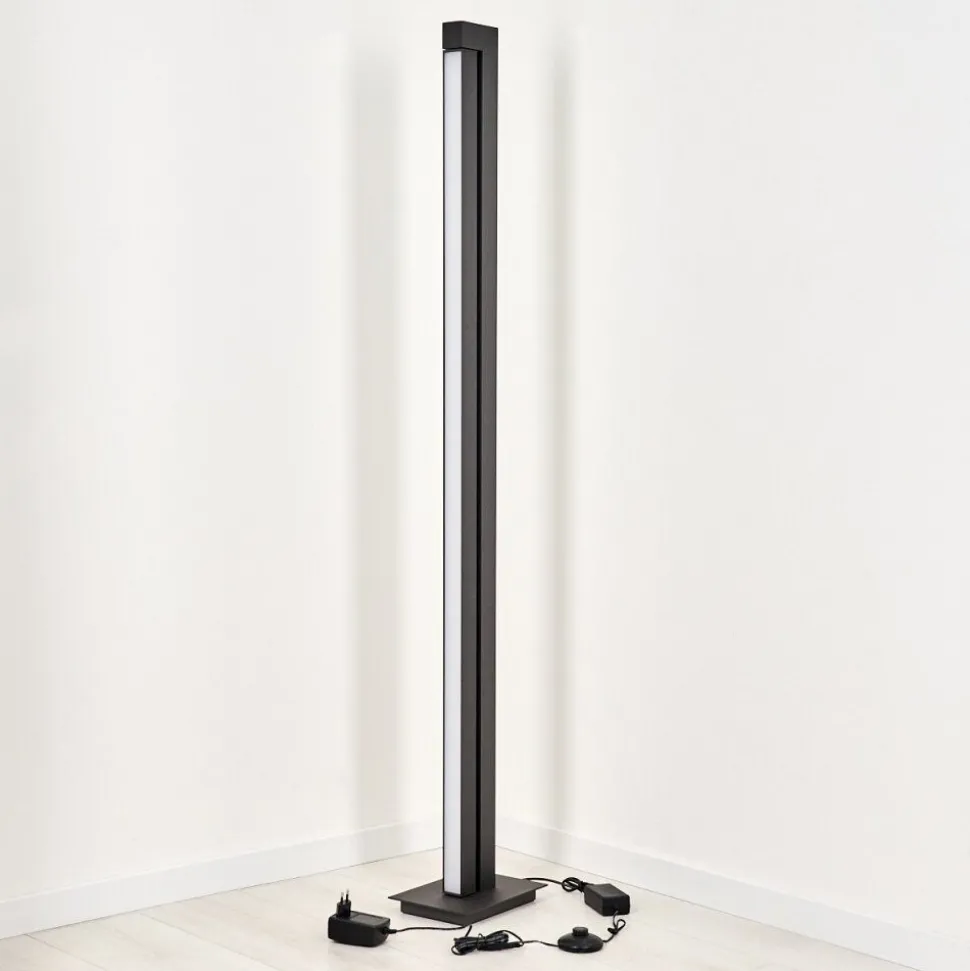 Lampadaire Dubuisson Led Anthracite, 1 Lumiere, Telecommandes