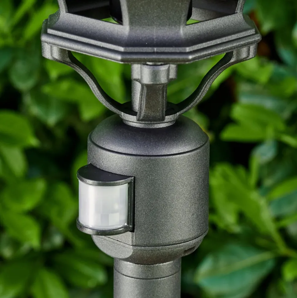 Lampadaire Exterieur Lentua Noir, 1 Lumiere, Detecteur De Mouvement