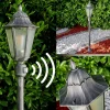 Lampadaire Exterieur Lignac Noir, Argente, 1 Lumiere, Detecteur De Mouvement