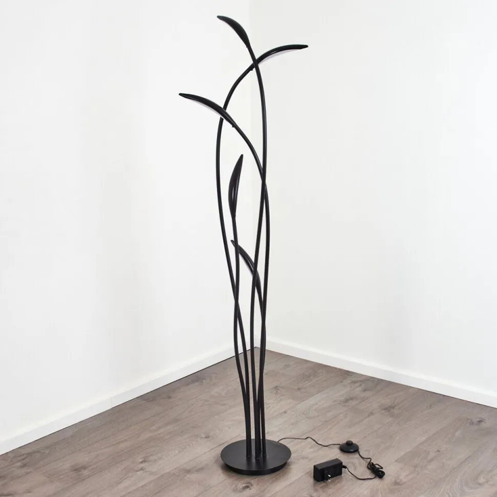 Lampadaire Oetling Led Noir, 1 Lumiere